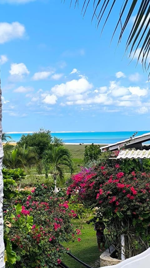 Garden view, Sea view
