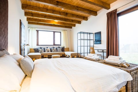 Living room, Photo of the whole room, Seating area, Bedroom