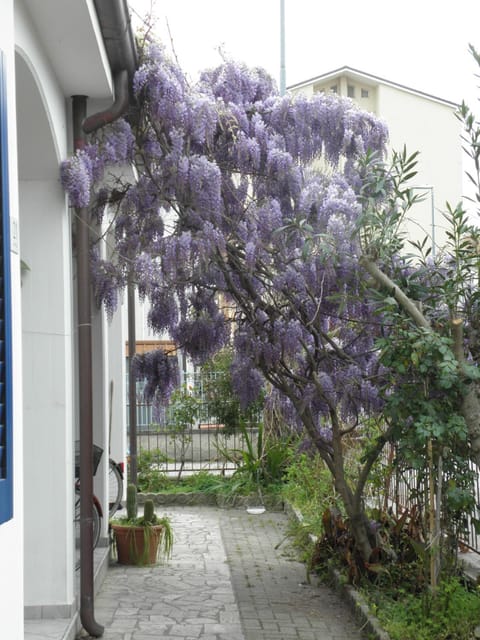Garden, Balcony/Terrace, Garden view