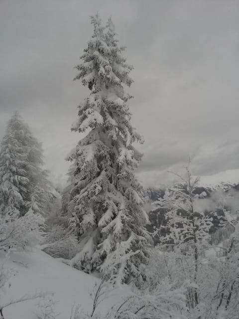 Natural landscape, Other