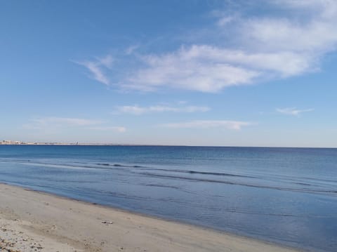 Beach, On site