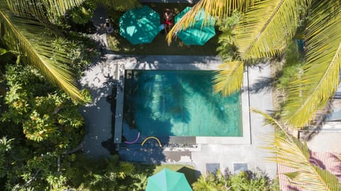 Bird's eye view, Pool view, Swimming pool