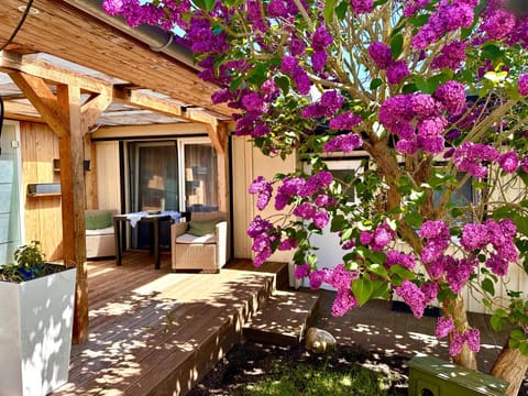 Haus auf der alten Düne Apartment in Prerow