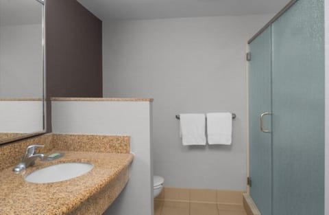 Shower, Bathroom, Bedroom