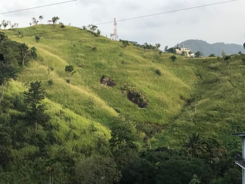 Natural landscape