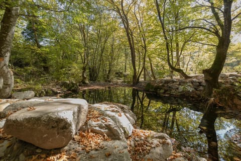 Alseides, The Home Experience Hotel in Pieria, Greece