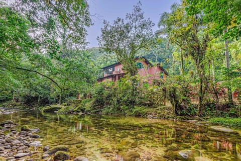 Diving, River view, River view, Swimming pool