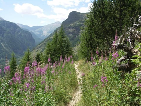 Appartement spacieux pour 10 pers, à 100m des pistes, Wifi gratuit, animaux admis - Saint-Michel-de-Chaillol - FR-1-393-42 Apartment in Provence-Alpes-Côte d'Azur