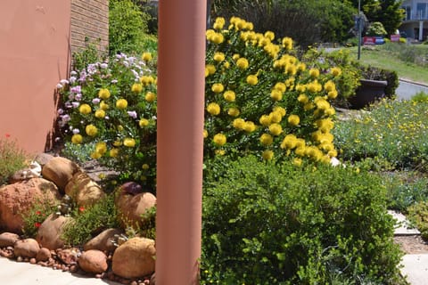 Swallows Nest Apartment in Western Cape