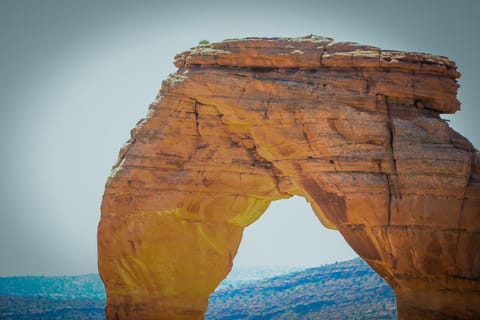 Cottonwoods 455 House in Moab