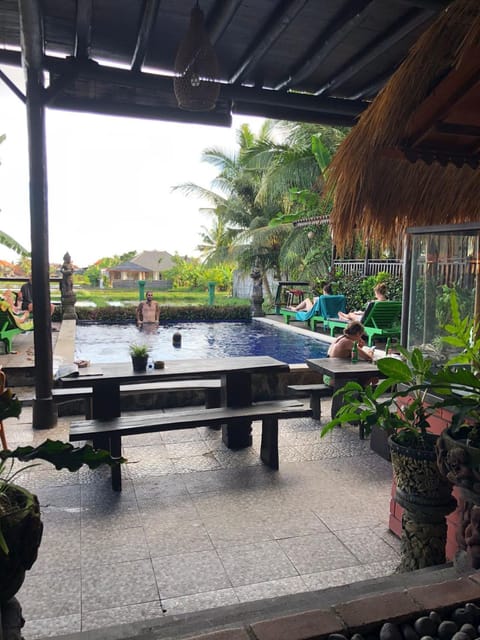 Garden, Garden view, Pool view, Swimming pool