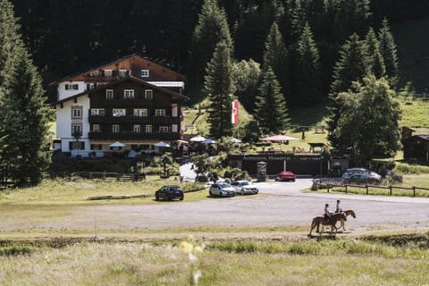 Property building, Natural landscape