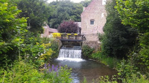 River view