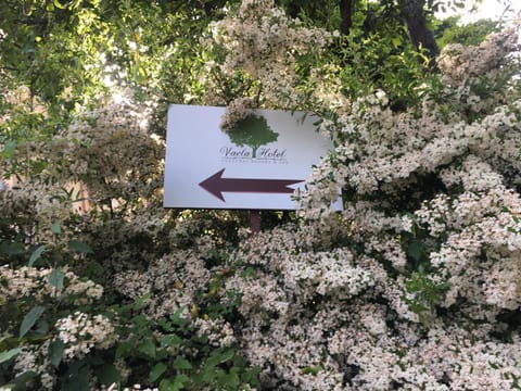 Spring, Natural landscape