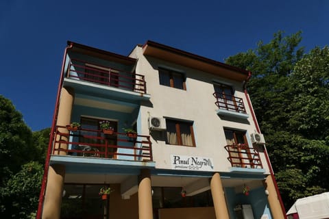 Pensiunea Pinul Negru Bed and Breakfast in Serbia