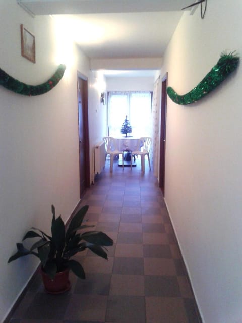 Pensiunea Pinul Negru Bed and Breakfast in Serbia