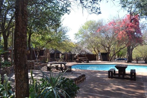 Pool view, Swimming pool, Swimming pool