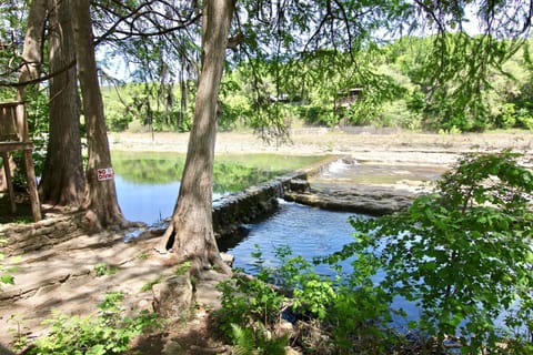 Natural landscape, River view