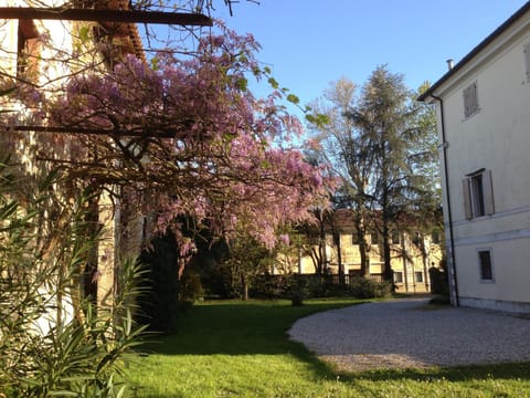 Spring, Garden, Garden view
