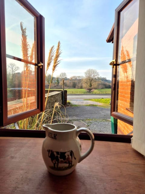 Tregib Mill Cottage House in Wales