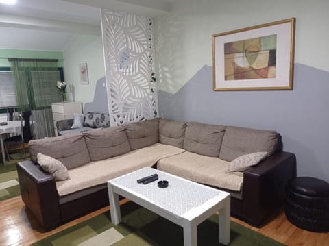 Apartment Vila Jezero Apartment in Zlatibor