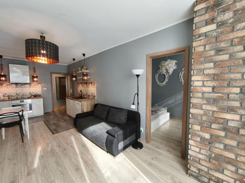 KGHN Apartments Grodzka Apartment in Szczecin