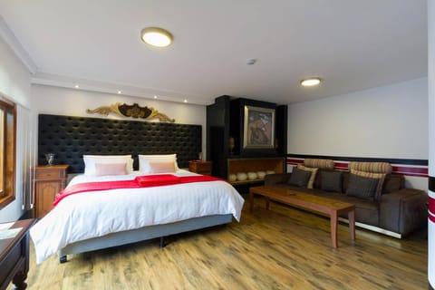 Bed, Living room, Photo of the whole room, Bedroom, City view