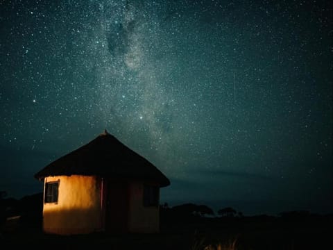 Night, Natural landscape