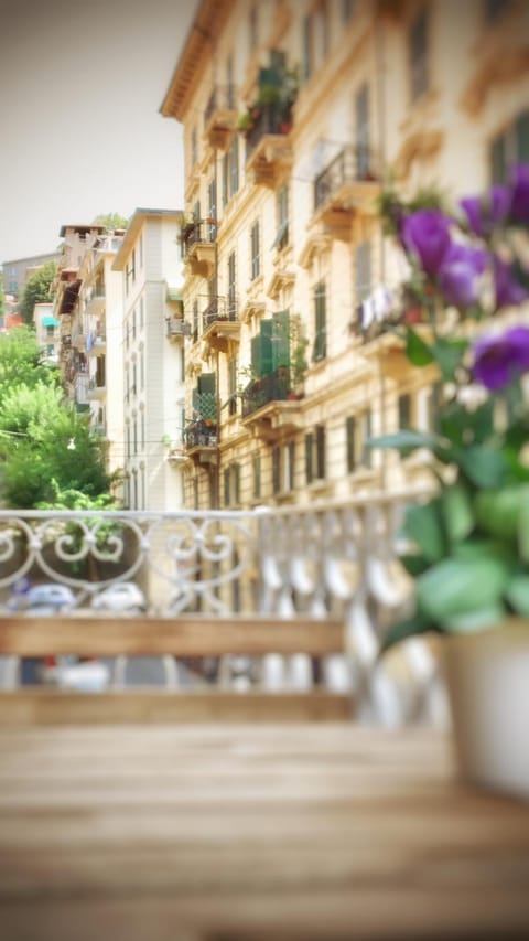 Balcony/Terrace, Balcony/Terrace