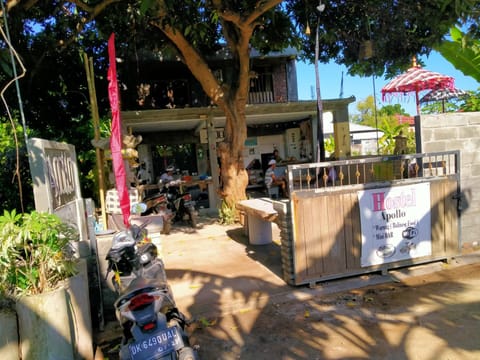 Apollo Hostel Hostel in Buleleng
