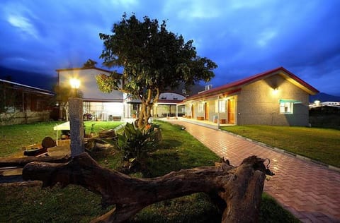 Property building, Night, Garden view