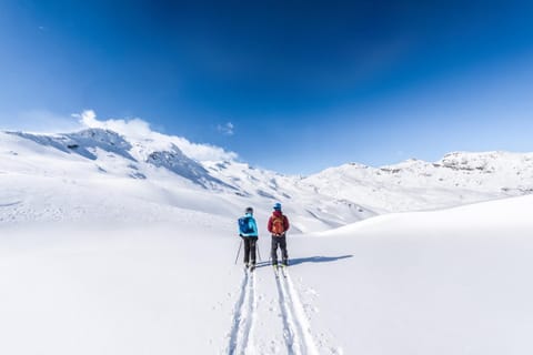 Natural landscape, Winter, Sports
