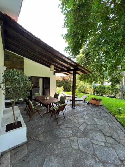 Patio, Day, Garden, Garden view