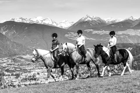 Natural landscape, Horse-riding, Animals, group of guests
