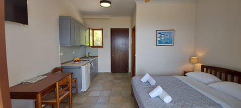 Bed, Kitchen or kitchenette, Photo of the whole room, Bedroom, oven