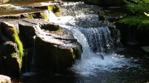 Natural landscape, Animals, On site, River view