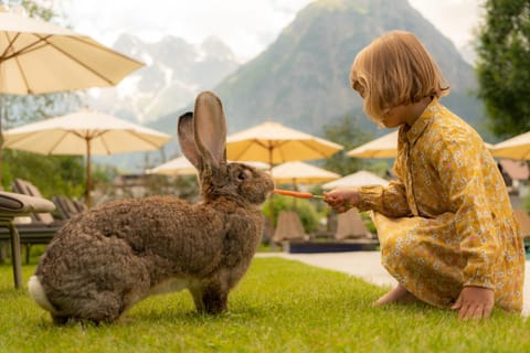 Valavier Aktivresort Hotel in Brand