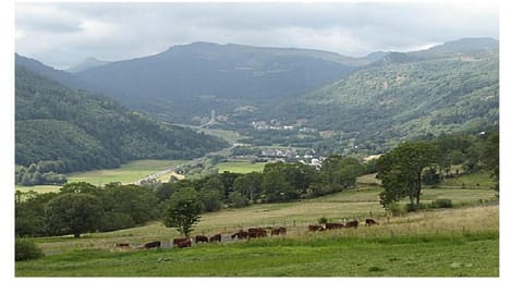Mountain view