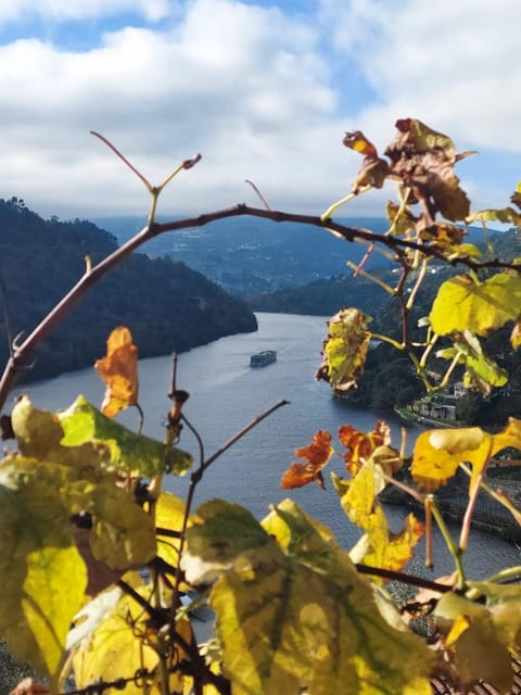 Natural landscape, Mountain view, River view