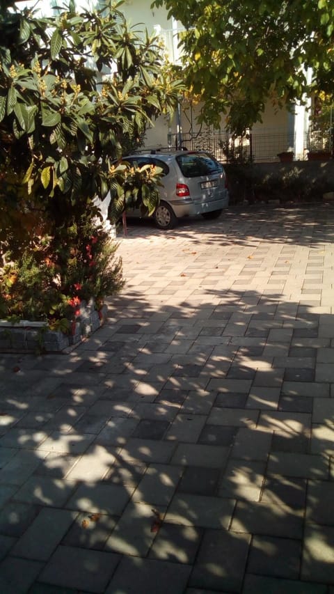 Inner courtyard view