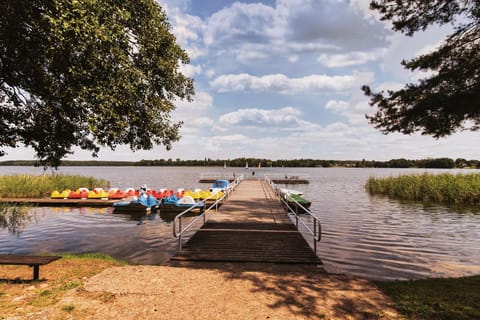 Activities, Area and facilities