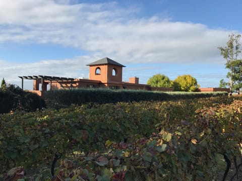 Day, Natural landscape, On site