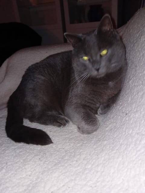 Ode au Bonheur St Georges sur Cher Bed and Breakfast in Centre-Val de Loire