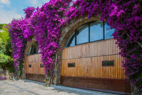 Property building, Inner courtyard view