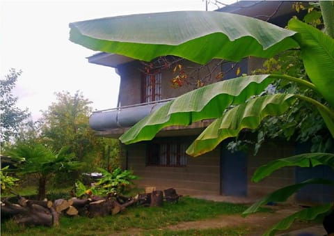 Property building, Facade/entrance, Garden