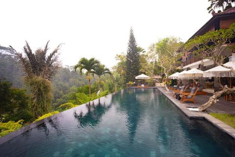 Pool view, Swimming pool