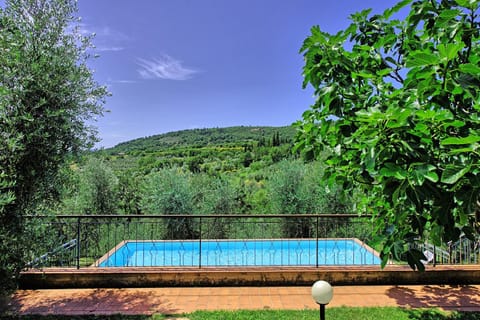 Garden, Swimming pool, Swimming pool