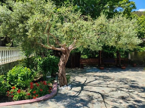 Natural landscape, Garden, Garden view