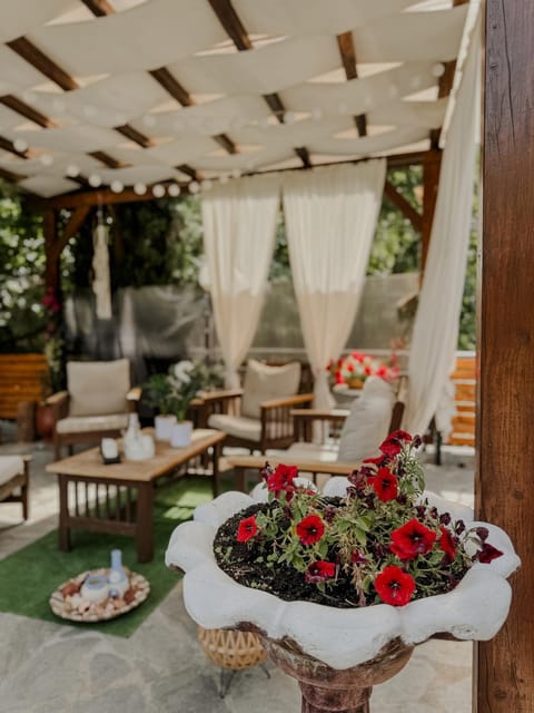 Patio, Day, Garden, Living room, Seating area, Garden view