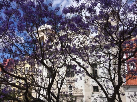 City view